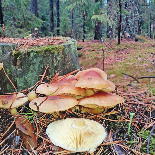 Les_24.10.2023-2.jpg