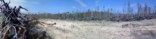 Les_06062012-4a.jpg
