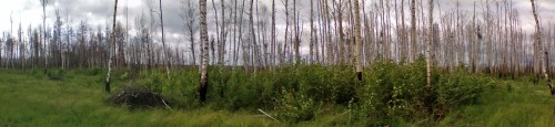 Les_08062012-2.jpg