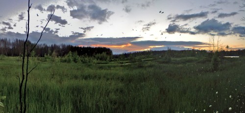Les_08062012-3.jpg