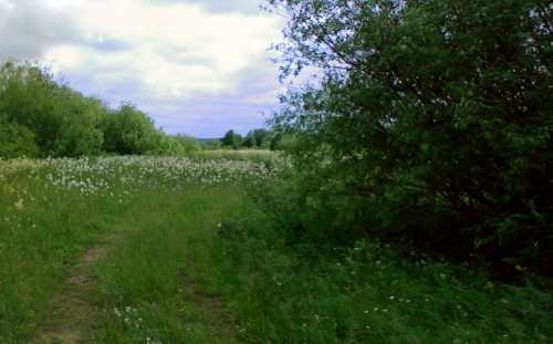 Les_11062012-1.jpg