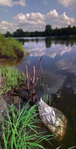Les_11062012-3.jpg