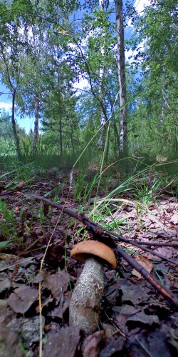 Les_14062012-3.jpg