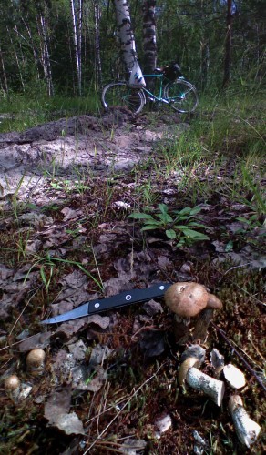 Les_14062012-4.jpg