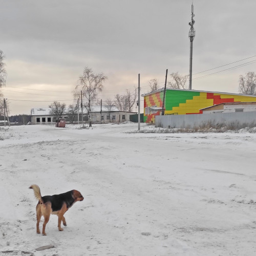 Ryb_23.11.2023-8.jpg
