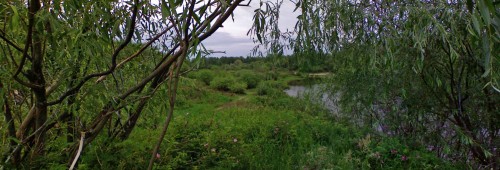 Les_16062012-3.jpg
