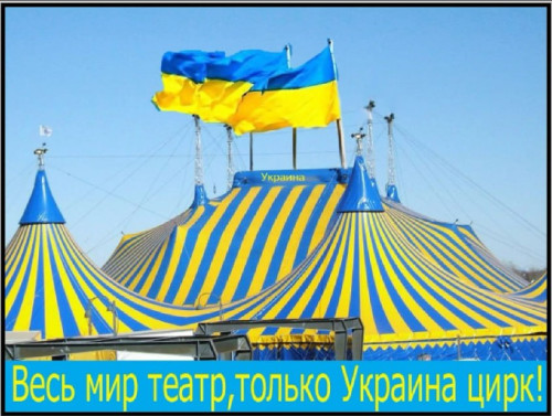 2023-11-27_11-36-25.jpg