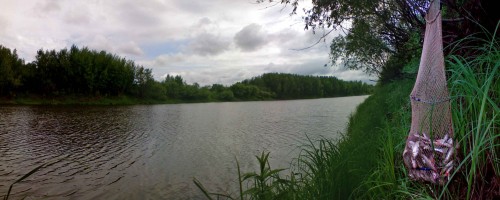 Les_16062012-4a.jpg