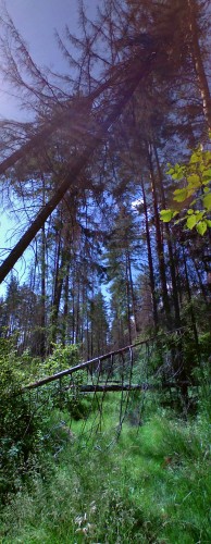 Les_16062012-2.jpg