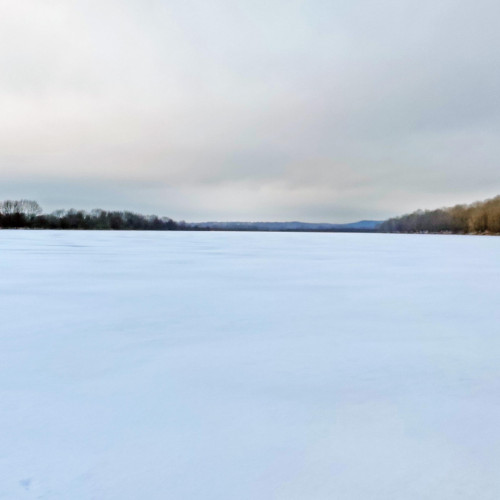 Ryb_01.12.2023-2.jpg