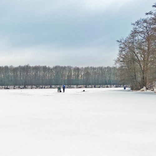 Ryb_01.12.2023-4.jpg