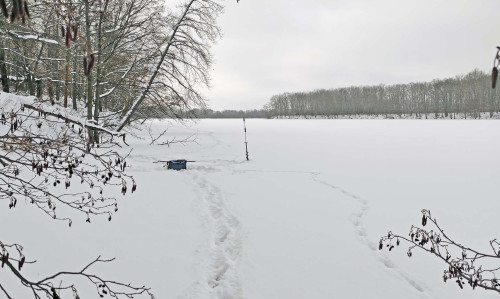 Ryb_05.12.2023-2.jpg