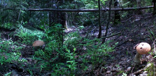 Les_19062012-5.jpg