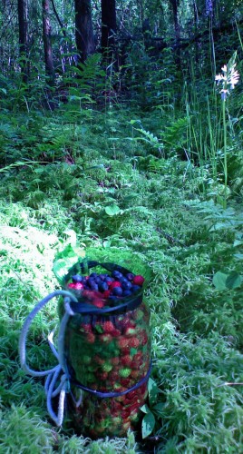 Les_19062012-6.jpg