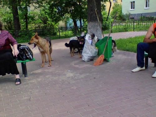Les_19062012-8.jpg