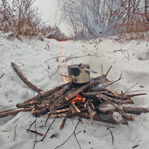 Ryb_11.12.2023-5.jpg