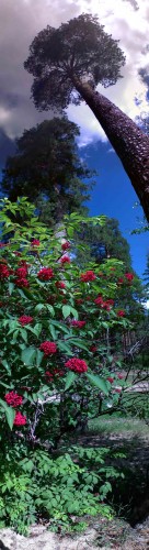 Les_19062012-3.jpg