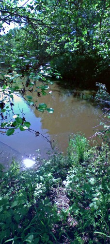 Les_19062012-4.jpg