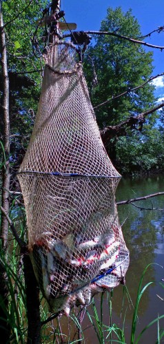 Les_19062012-7.jpg