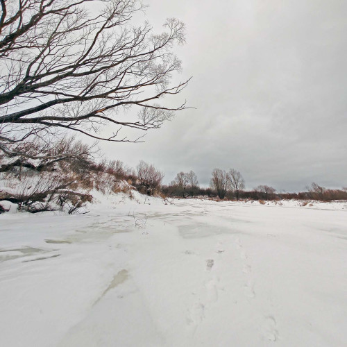 Ryb_18.12.2023-2.jpg