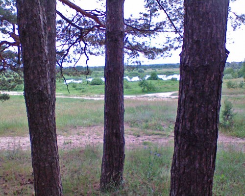 Les_24062012-1.jpg
