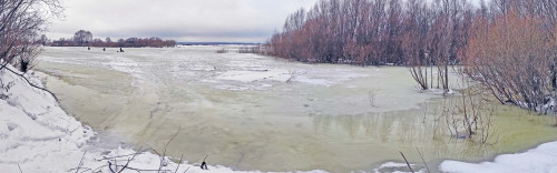 Ryb_20.12.2023-1.jpg
