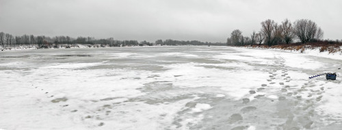Ryb_20.12.2023-3.jpg