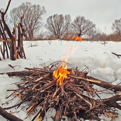 Ryb_22.12.2023-2.jpg