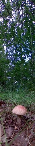 Les_24062012-3.jpg