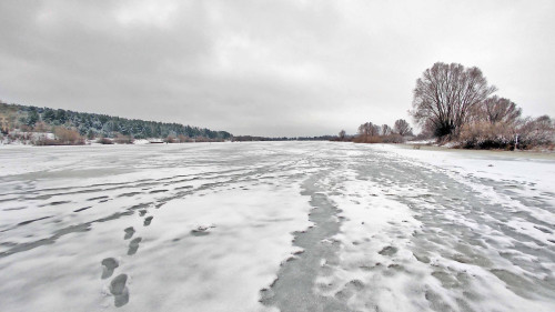 Ryb_25.12.2023-5.jpg