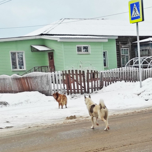 Ryb_25.12.2023-10.jpg