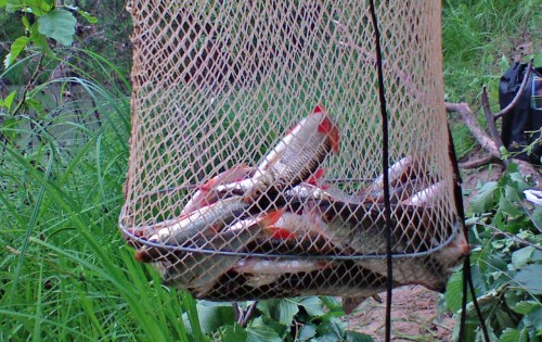 Les_24062012-8.jpg