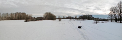 Ryb_27.12.2023-4.jpg