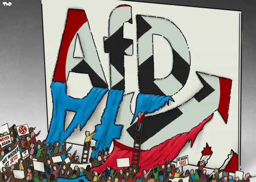 240121 AfD.jpg