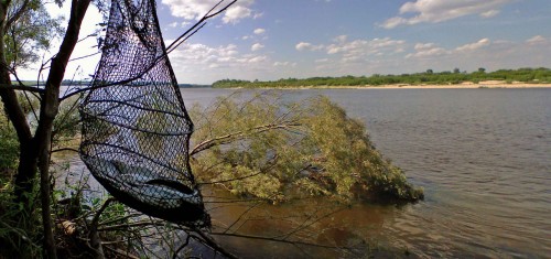 Les_26062012-7.jpg