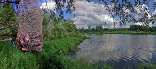 Les_28062012-4.jpg