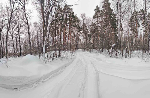 Ryb_26.01.2024-2.jpg