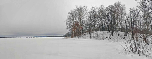 Ryb_26.01.2024-6.jpg