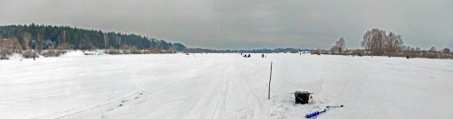Ryb_27.01.2024-5.jpg