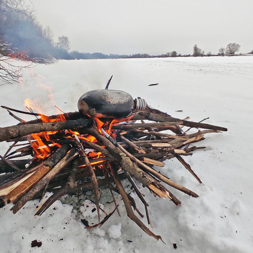 Ryb_27.01.2024-6.jpg