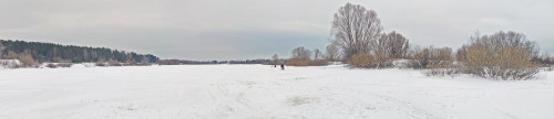 Ryb_29.01.2024-1.jpg