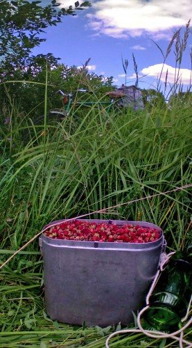 Les_01072012-3.jpg