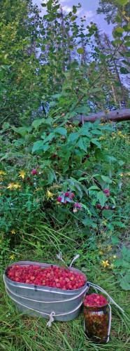 Les_06072012-4.jpg