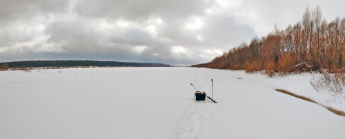 Ryb_02.02.2024-4.jpg