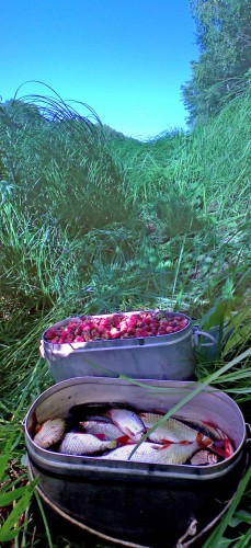 Les_08072012-2.jpg