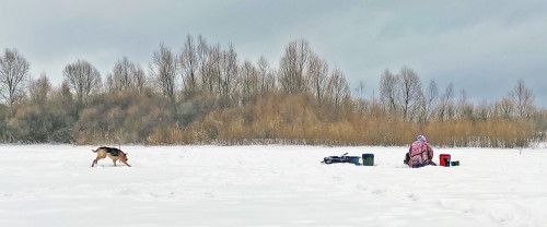 Ryb_03.02.2024-3.jpg