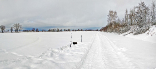 Ryb_05.02.2024-3.jpg