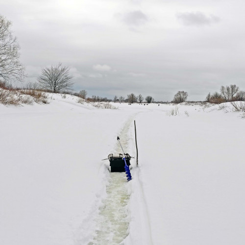 Ryb_06.02.2024-2.jpg