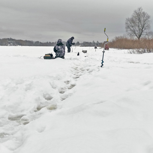 Ryb_06.02.2024-4.jpg