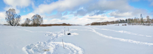 Ryb_08.02.2024-2.jpg